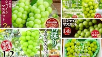 「コレを食べると、他のシャインマスカットが食べられません」　ふるさとチョイスで人気の【ぶどう】トップ5