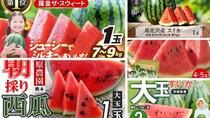 夏の楽しみ、先行予約　ふるさとチョイスで人気の【スイカ】ランキング