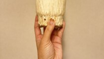 小2娘「冷蔵にあるエノキ半分使っていい？」母「いいよ」　→まさかの展開に１０万人困惑