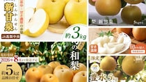 「見事に裏切ってくれました」「美味しすぎて毎年買ってます」　ふるさとチョイスで人気の【梨】トップ5