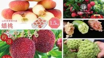 食べたことある？　アテモヤ、蟠桃、やまもも...ふるさとチョイスで選べる〝レア果物〟5選