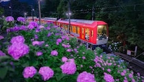 箱根の初夏の風物詩「夜のあじさい号」5／13予約スタート　エモすぎる絶景車窓を見逃すな【運行：6／13～6／30】