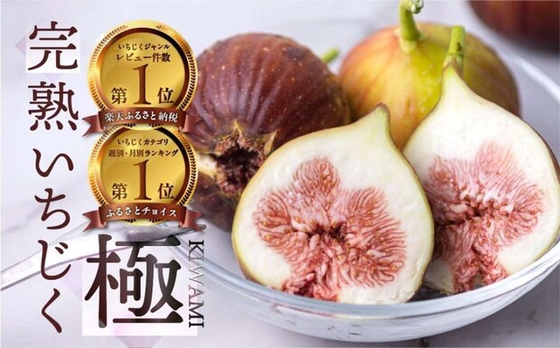 愛知県 田原市「完熟 いちじく［極］ 無花果 9-12玉」16000円（ふるさとチョイスより）