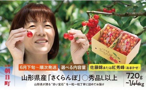山形県 朝日町「山形県産 さくらんぼ （ 佐藤錦 ・ 紅秀峰 ） 丸秀品 L以上 選べる容量」10000円（ふるさとチョイスより）