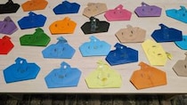 「5歳が取り憑かれたようにつくってた」　増え続ける色とりどりの〝なにか〟...その正体は