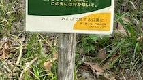武蔵村山市の公園に立つ〝注意看板〟の内容に2.8万人驚がく　「この先には行かないで」...その理由は？