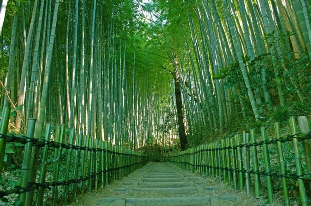 「サムライの古径 ひよどり坂」など、写真映え抜群のスポットが満載（画像提供：（公社）千葉県観光物産協会）