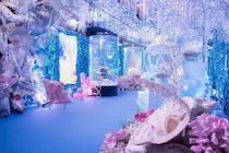 貸し切りアクアリウムで幻想的な〝ぬい撮り〟を　大阪・ひらかたパークの推し活イベントが楽しそうすぎ【5／22・23】
