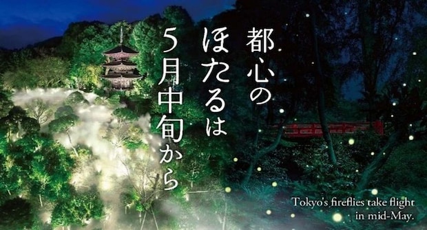 23区内とは思えない幻想空間 （画像はプレスリリースより）