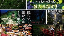 23区内でも「ほたる」見られます　計画たてるなら今しか！東京で楽しむ〝ほたるイベント〟おすすめ3選【2026】