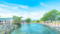 「これこそが宝」「天国のよう」　鹿児島にある〝透明すぎる池〟に心洗われる