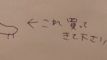 妻から渡された〝おつかいメモ〟に9.3万人困惑「何買ってきたらいい？」　→翌日夫が披露したのは...