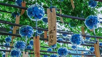 〝ちいさな夏〟が閉じ込められた風鈴が、ずらり　京都・正寿院の「風鈴まつり」の清涼感がたまらない【6／1～9／30】