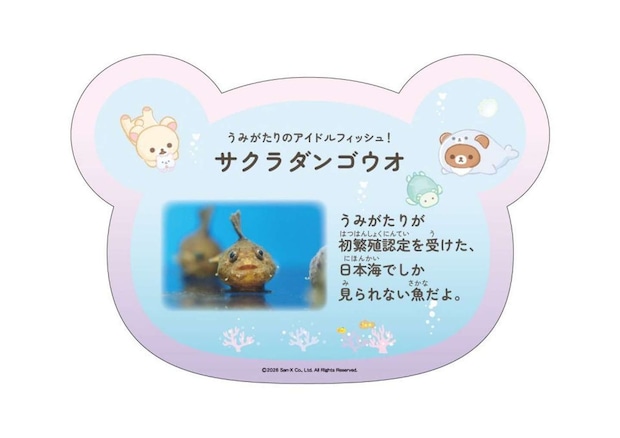 （C) 2026 San-X Co., Ltd. All Rights Reserved.