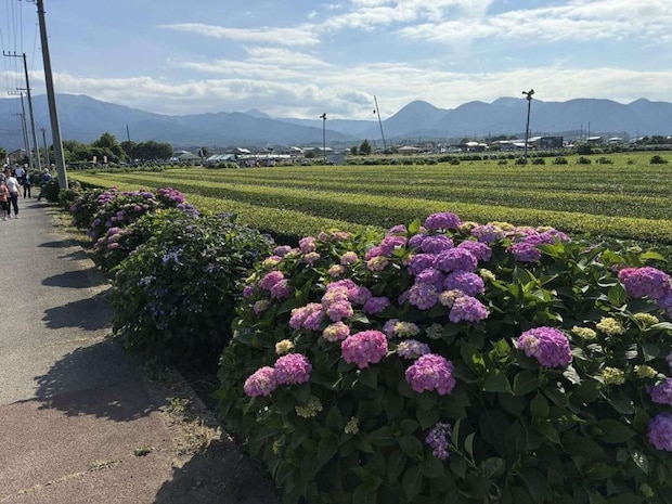 思わず深呼吸したくなる景色