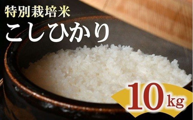 三重県 松阪市「コシヒカリ＜特別栽培米＞精米 10㎏」14,000円（ふるさとチョイスより）