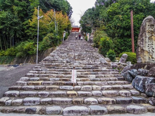 伊佐爾波神社の石段を登っていると...（画像はphotoAC）