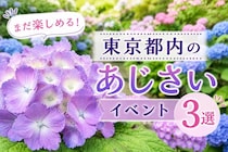 「今年は見逃した...」にはまだ早い！　6月後半も楽しめる東京都内のあじさいイベント3選