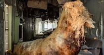 とある廃墟の中で、とんでもない怪物が生み出されていた件