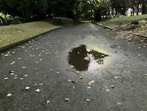 「夕方の田舎道を歩く私に近付いてきた、顔面蒼白な少年。小学校の制服を着ていたけれど」（奈良県・60代女性）