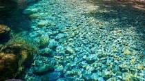 究極に澄み切ったエメラルドグリーンの流れが美しい　長野・阿寺渓谷の〝最強すぎる〟絶景が人気