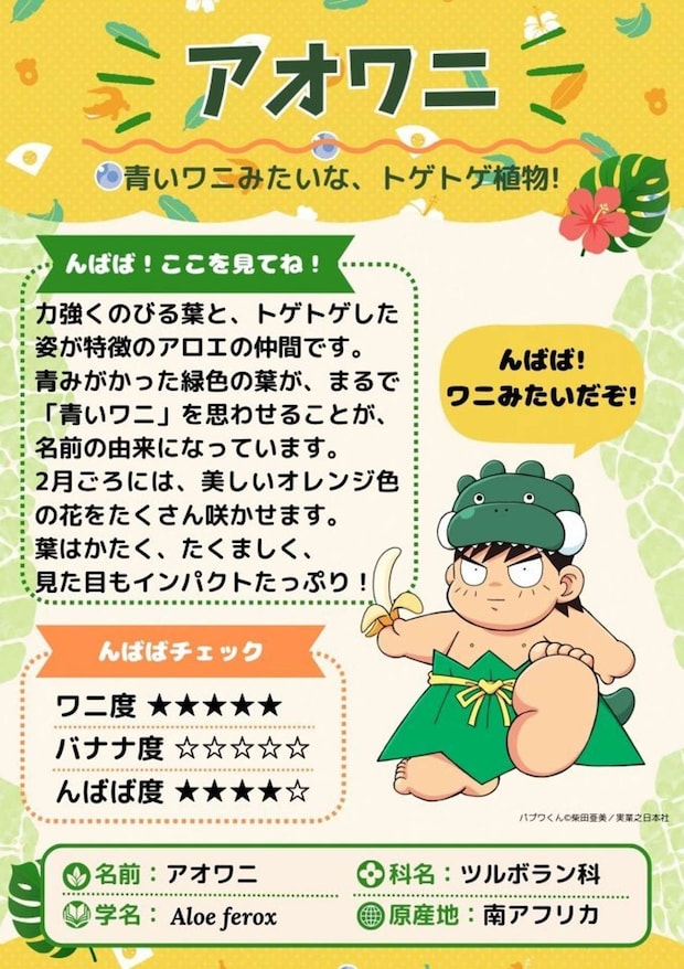 どんな植物があるのかな？（熱川バナナワニ園プレスリリースより）