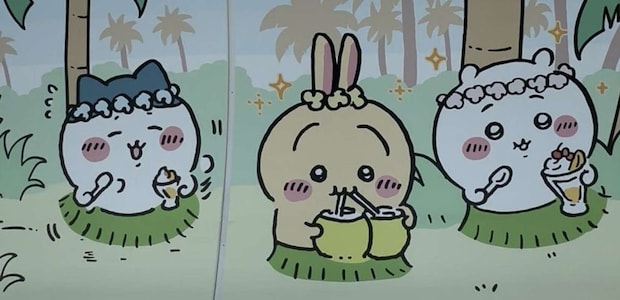 島観光を満喫！