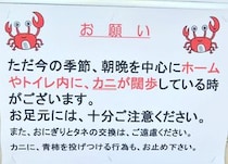 「カニに柿を投げつけるのはやめて」　江ノ電・長谷駅の注意ポスター、完全に「さるかに合戦」だった