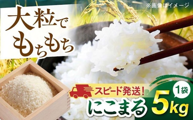 福岡県 糸島市「【令和7年産】【スピード発送】にこまる 玄米品質1等米 白米 5kg」13,000円（ふるさとチョイスより）