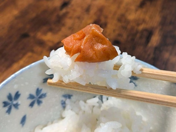 【無添加】梅と塩（画像は筆者撮影）
