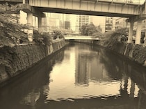 「自転車ごと川に落ち、そのまま流された3歳の私。助けてくれた男の子が私の母に言ったのは...」（千葉県・20代女性）