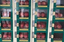 ぜーんぶワンコイン！　福島県産モモ「6個入り500円」の最強自販機があった