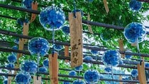 〝ちいさな夏〟が閉じ込められた風鈴が、ずらり　京都・正寿院の「風鈴まつり」の清涼感がたまらない【6／1～9／30】