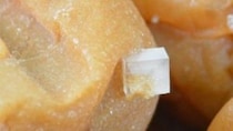 「異物混入？！」実に付着した〝立方体〟の正体は　「昔ながらの梅干し」作る企業が語る真相