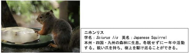 画像はプレスリリースより