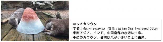 画像はプレスリリースより