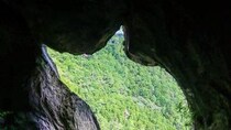 振り向けば、超巨大猫　愛知・新城市「乳岩峡」の〝かわいい絶景〟に「自然は偉大」の声