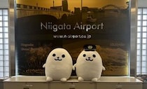 アザラシ？→いいえ、お米です　新潟空港PRキャラが食べたくなっちゃうほどかわいい