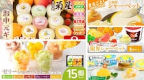 名産果実のおいしさ、涼しく爽やかに　ふるさとチョイスで人気の【シャーベット】5選