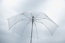 突然の大雨でずぶ濡れになった私。それを追い越していった自転車のおばあさんが（北海道・40代女性）