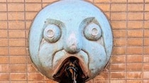 「夜中に見たら失神する」「こわいこわいこわい」　兵庫・尼崎の公園に佇む〝謎すぎる顔〟に1.3万人戦慄