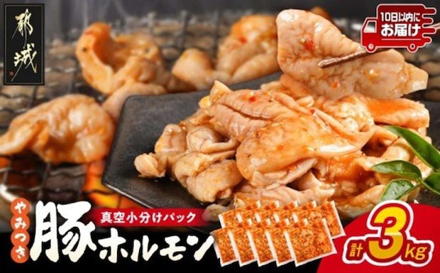 宮崎県 都城市「やみつき豚ホルモン!3kg!真空小分けパック!」9,800円（ふるさとチョイスより）