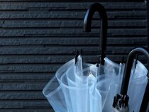 ダイソーの傘たてを冷蔵庫に？　活用法に「天才かも」「すぐ欲しい」【意外な活用法4選】