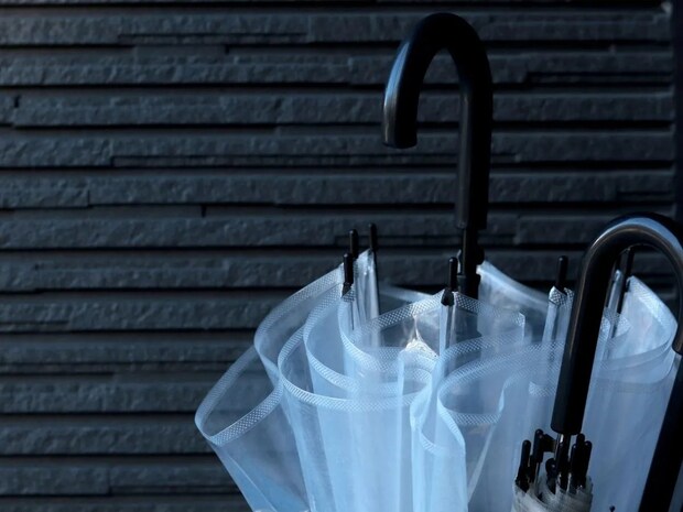 ダイソーの傘たてを冷蔵庫に? 活用法に「天才かも」「すぐ欲しい」【意外な活用法4選】