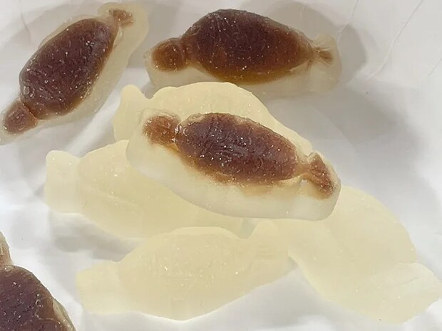 『ランチャームグミ』の中身（撮影：grape編集部）