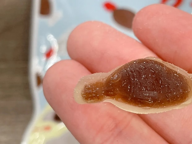 コンビニで見つけたのは… よく見る『魚型の容器』をイメージしたグミに大衝撃!