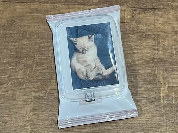 『写真が入るウエットシートのフタ』の写真（撮影：grape編集部）