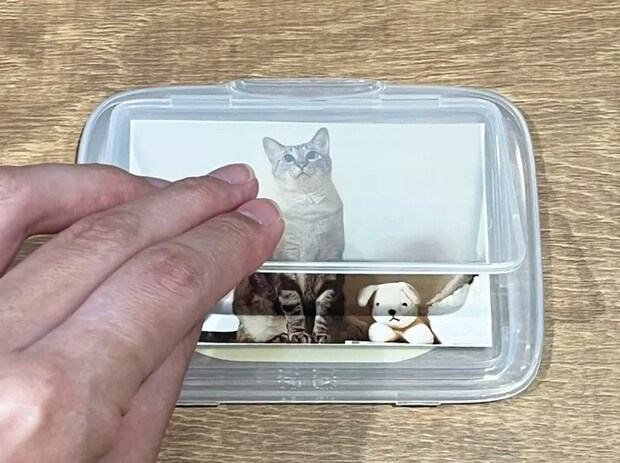 『写真が入るウエットシートのフタ』の写真（撮影：grape編集部）