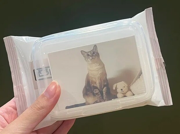 『写真が入るウエットシートのフタ』の写真（撮影：grape編集部）