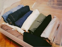 衣類に穴があく理由？　害虫の習性と対策に「納得」「すぐやる」